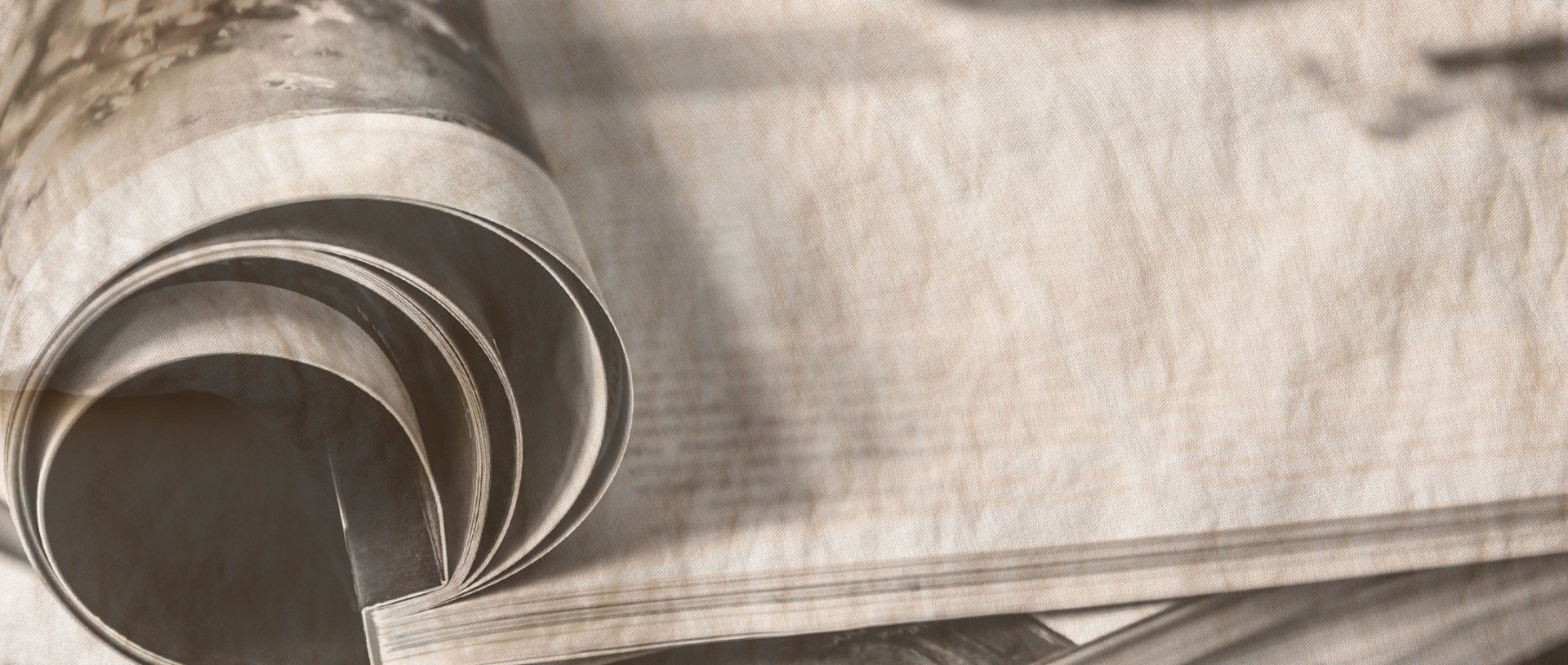Logo Articles de presse - La Métisse