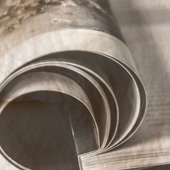 Lire l'article : Articles de presse